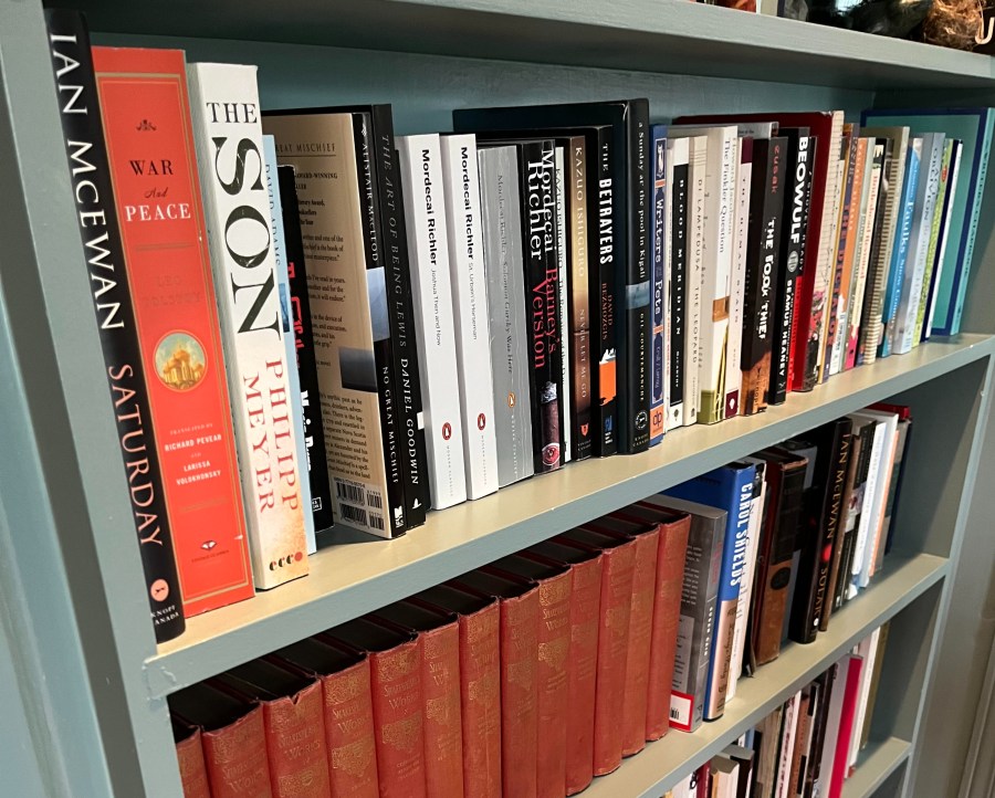 The books on my&nbsp;shelves